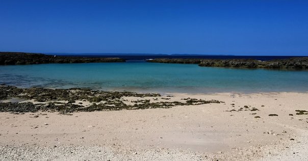 ケサランパサランについて～『ケサランパサラン日記』の紹介と