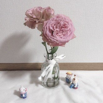 読書感想文 植物図鑑 有川浩 K Note