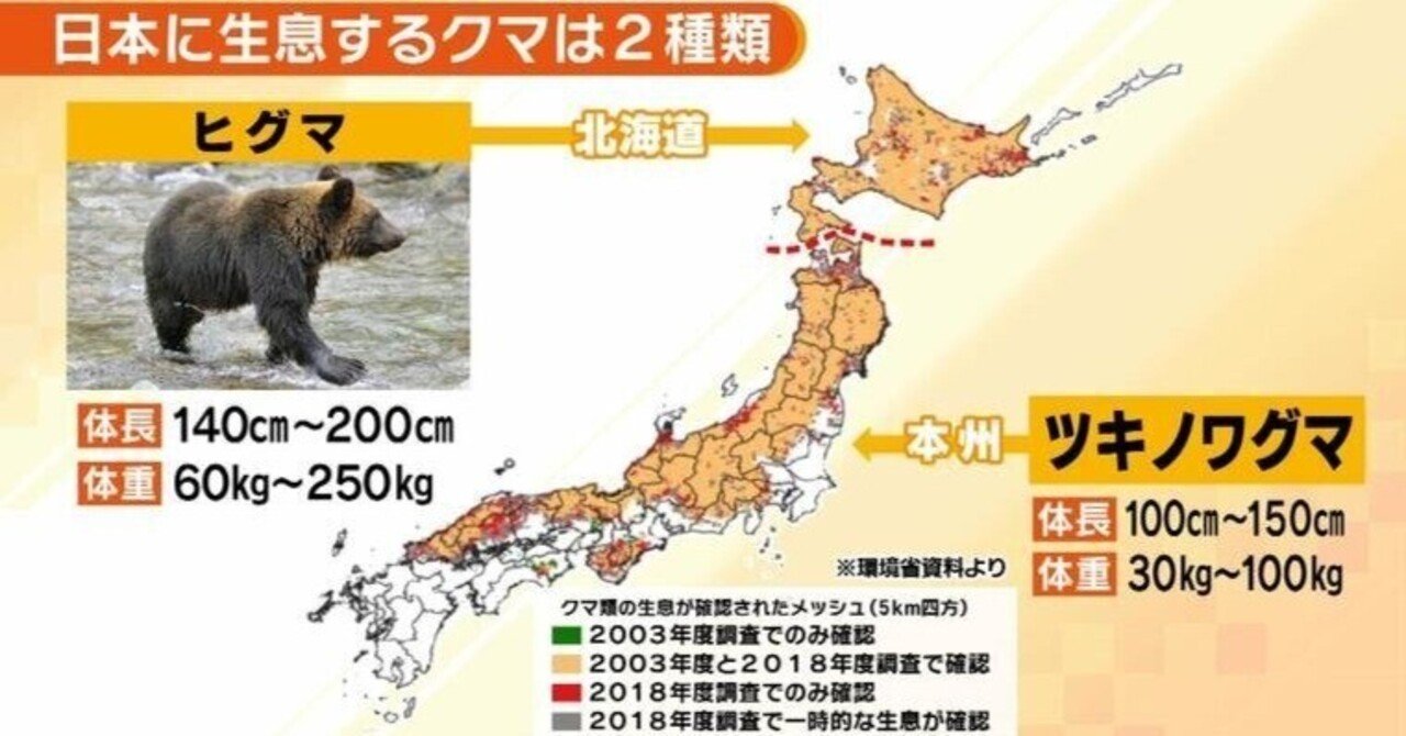 熊ページ 忍者ヒグマ「OSO18」 闇夜にまぎれ、わなを素通り 乳牛65頭に牙