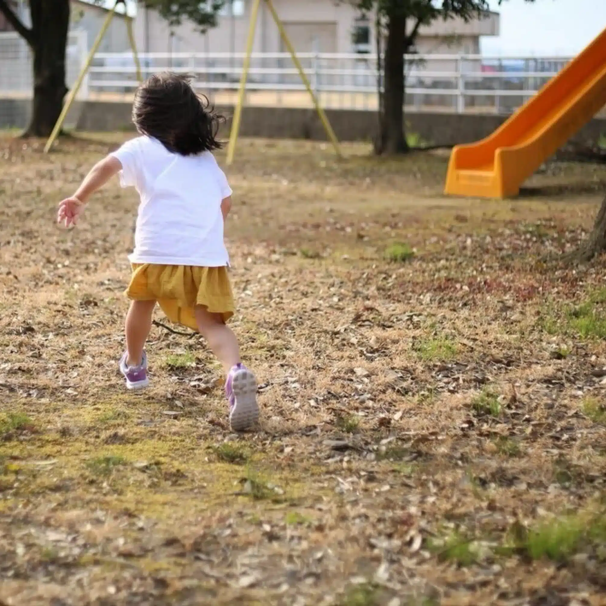 蝉噪蛙鳴