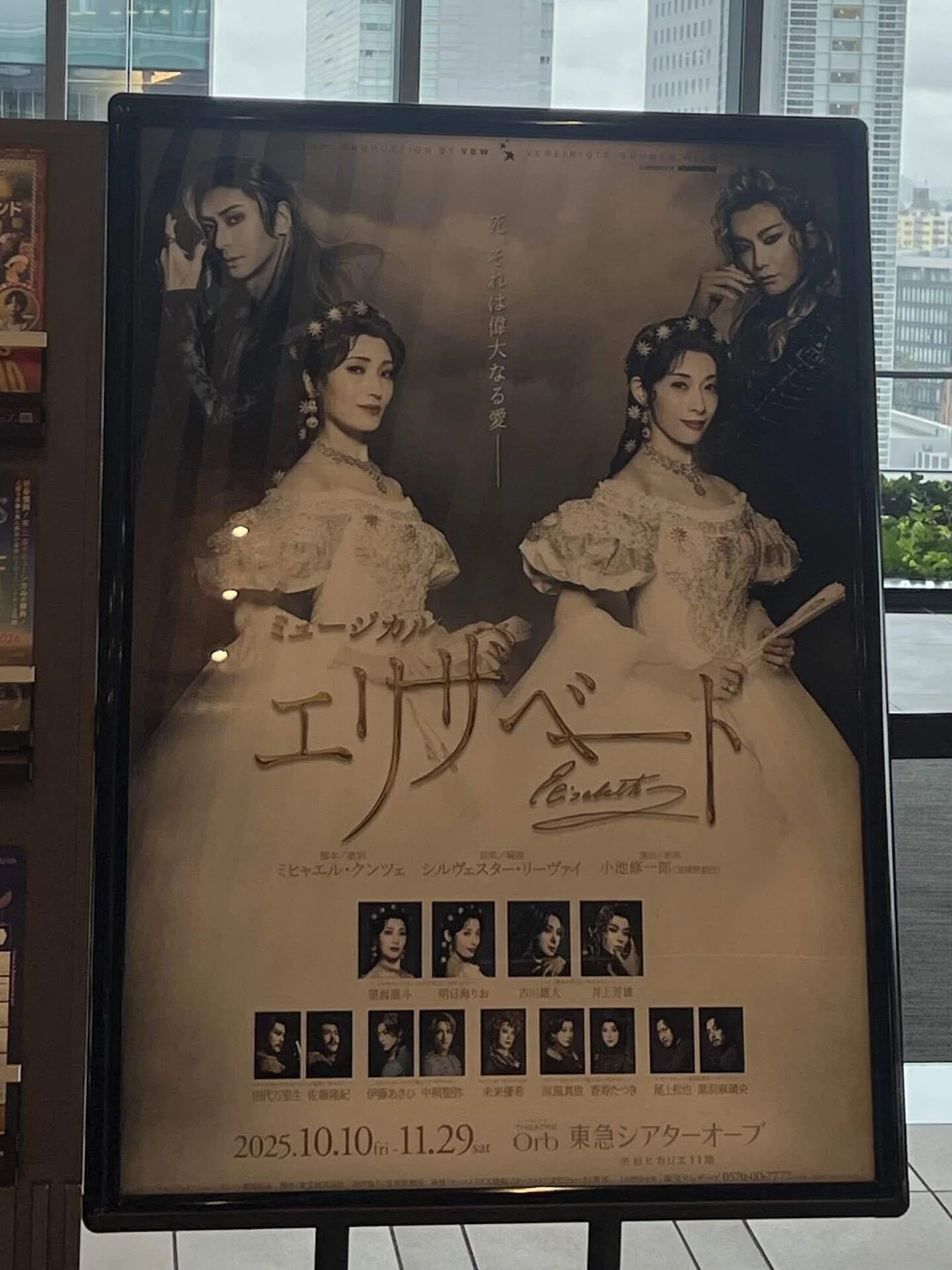 【限定価格】未開封　ミュージカル エリザベート-愛と… 月組宝塚大劇場公演 ミュージカル『エリザベート ―愛と死の輪舞―』DVD
