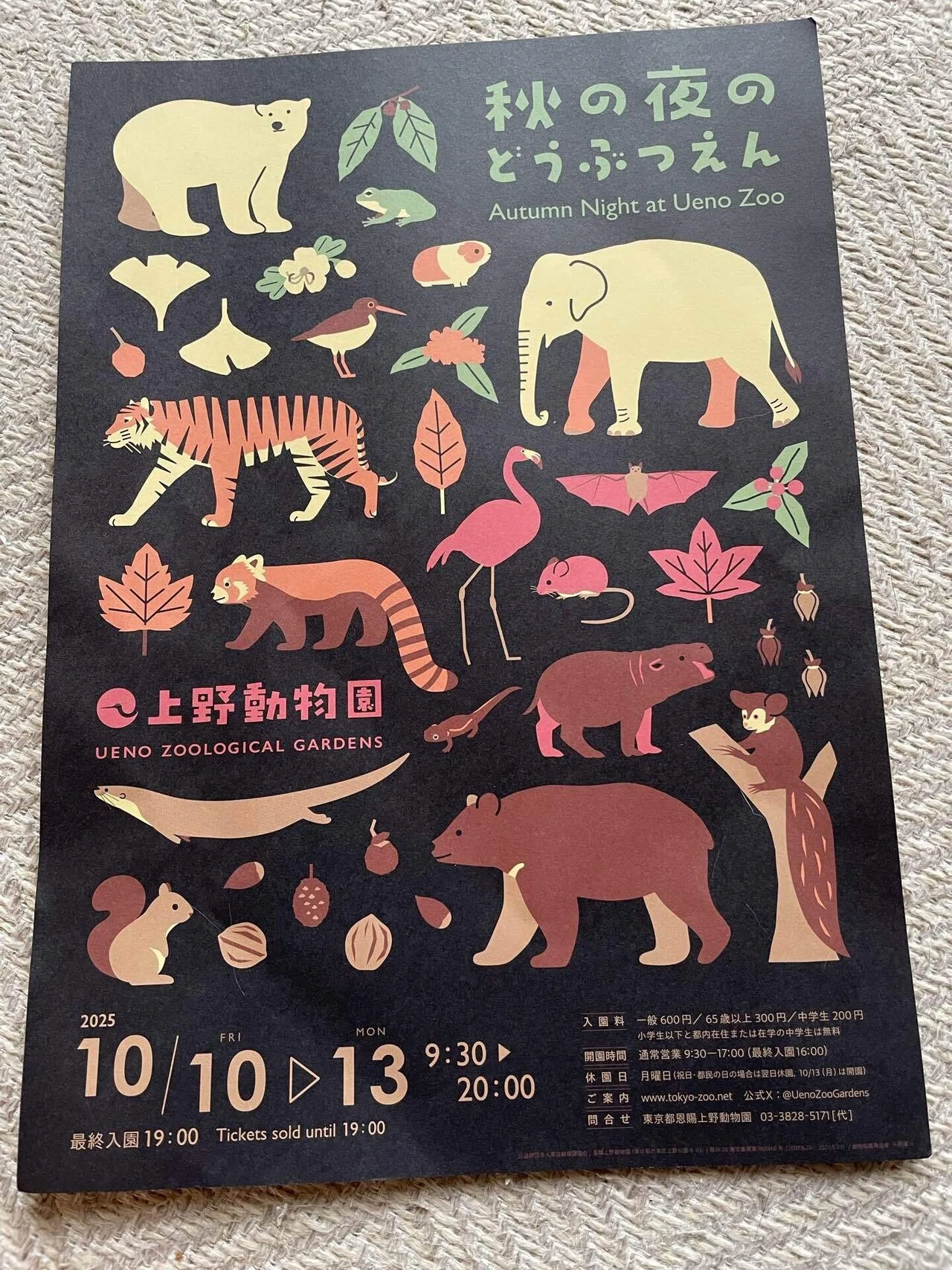 活動歴および当時の関連ビジュアル記録