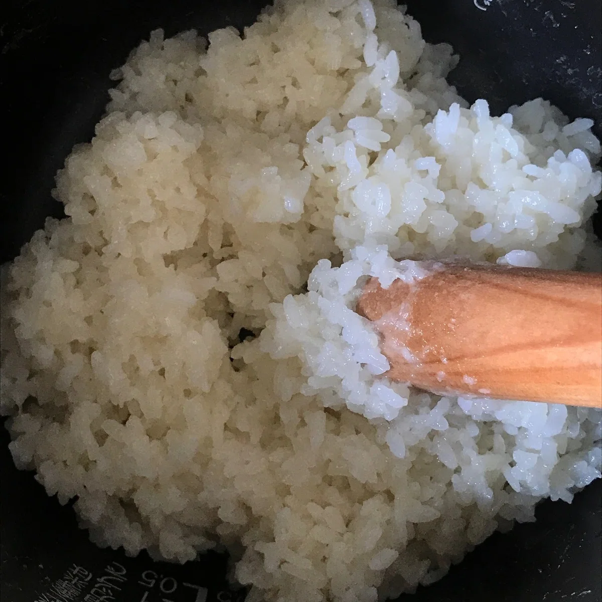 画像15
