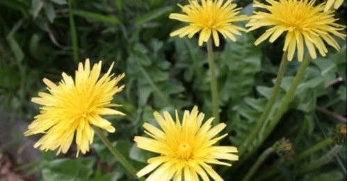 7742426f3eef145432e6f6e405f8be