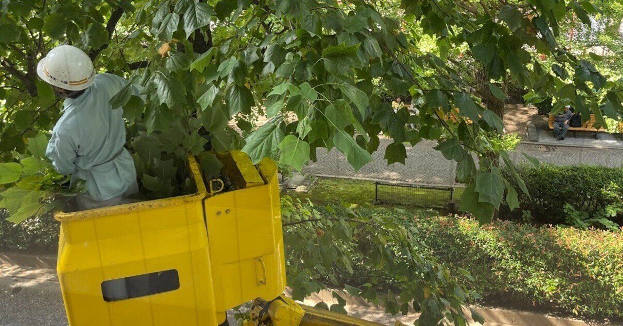 スカイボックス