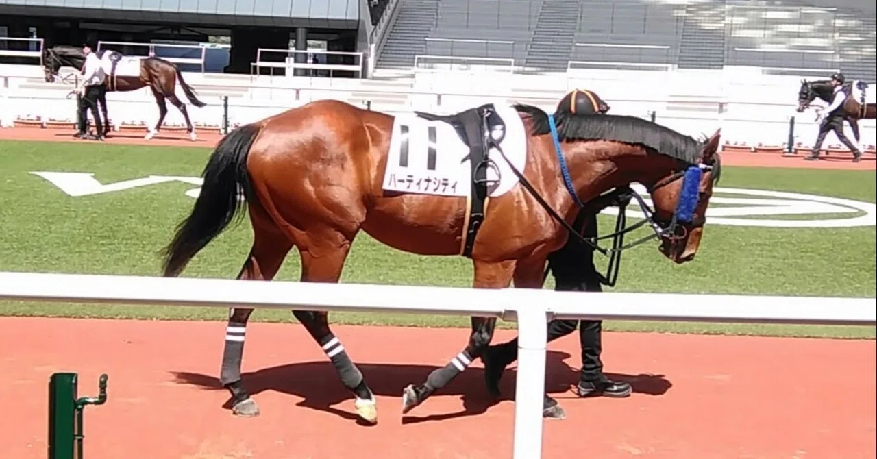 4/4（土） 阪神7R 1番人気馬｜JRDB 競馬アラカルト