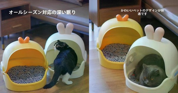 CAARANYはどこの国のブランド？ペットドライルーム・65L大容量 ドライ