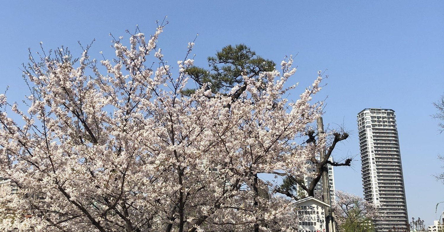 Noteはじめました 高野光平 こうの こうへい Note