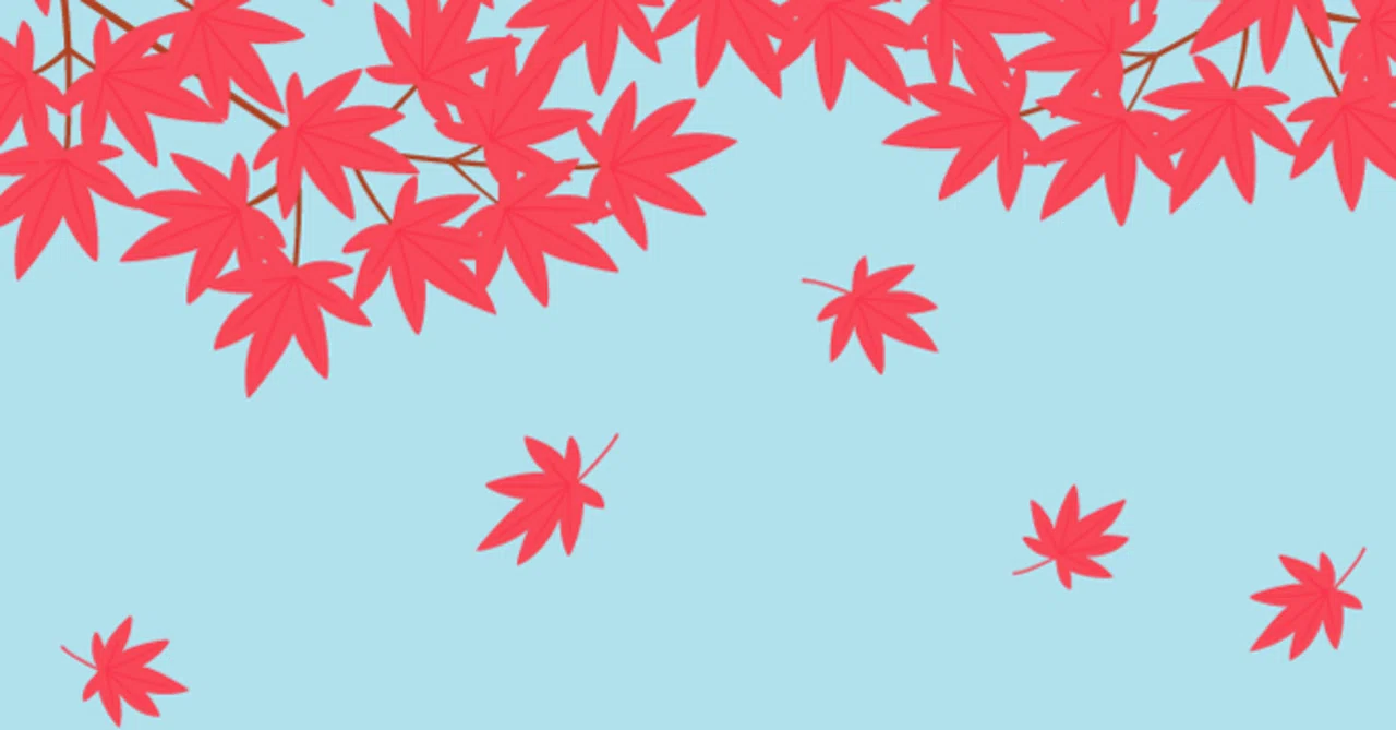 [Frost Fall] Autumn Leaves and Sweet Traps. Noh Play 'Momijigari ...