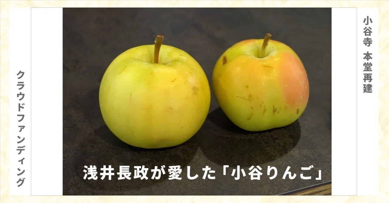 浅井長政が愛した「幻のリンゴ」が1300年の歴史を救う？（Wine&Cidre