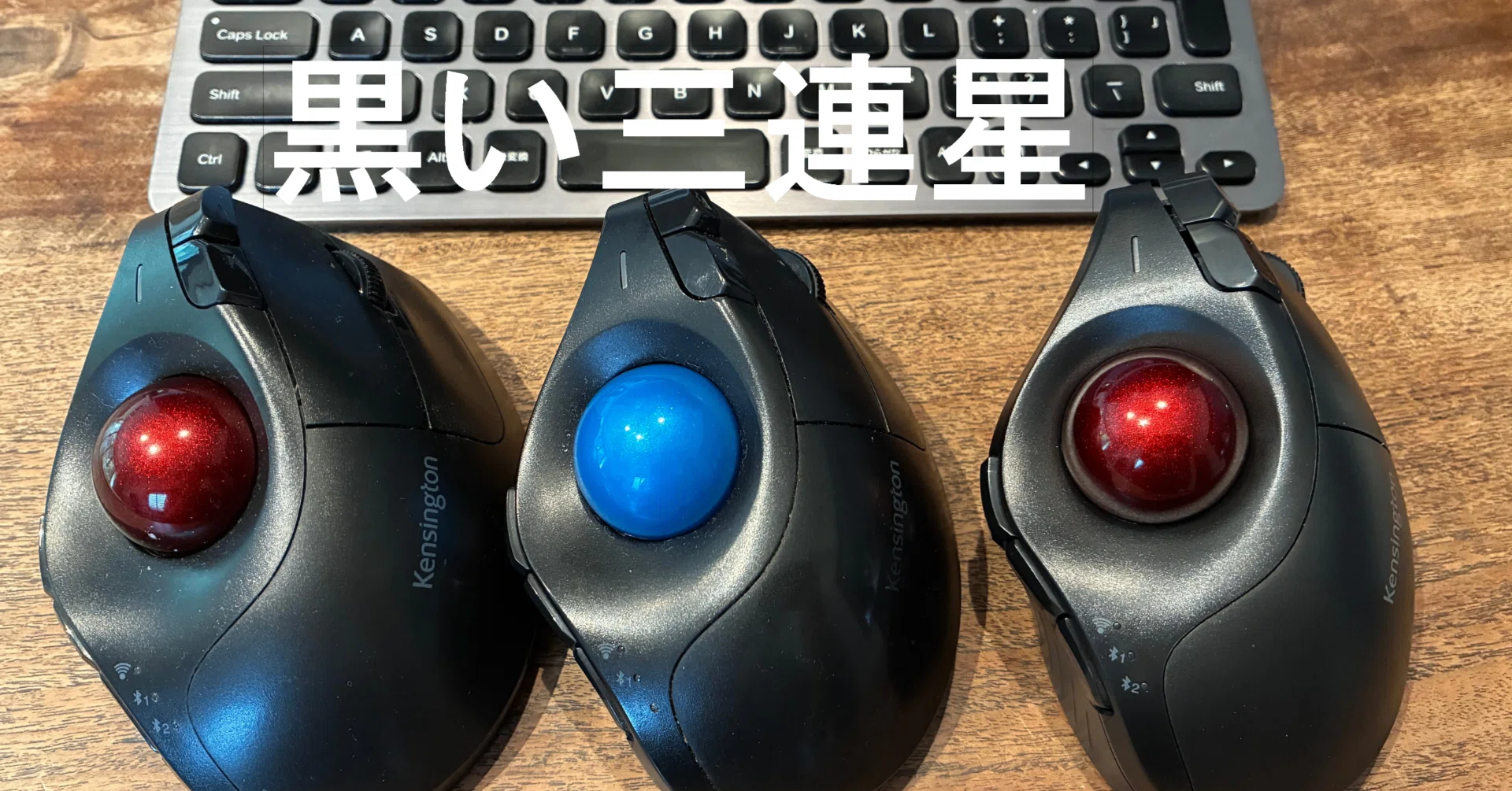 desk] トラックボールマウス ケンジントン Pro Fit Erogo Vertical