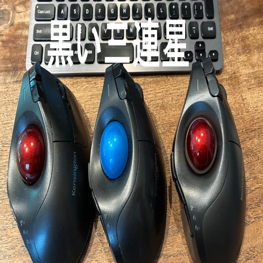 desk] トラックボールマウス ケンジントン Pro Fit Erogo Vertical