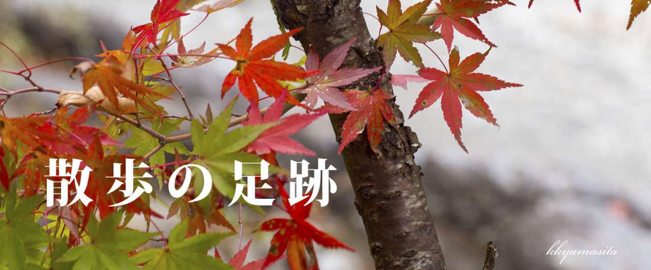 散歩の足跡3