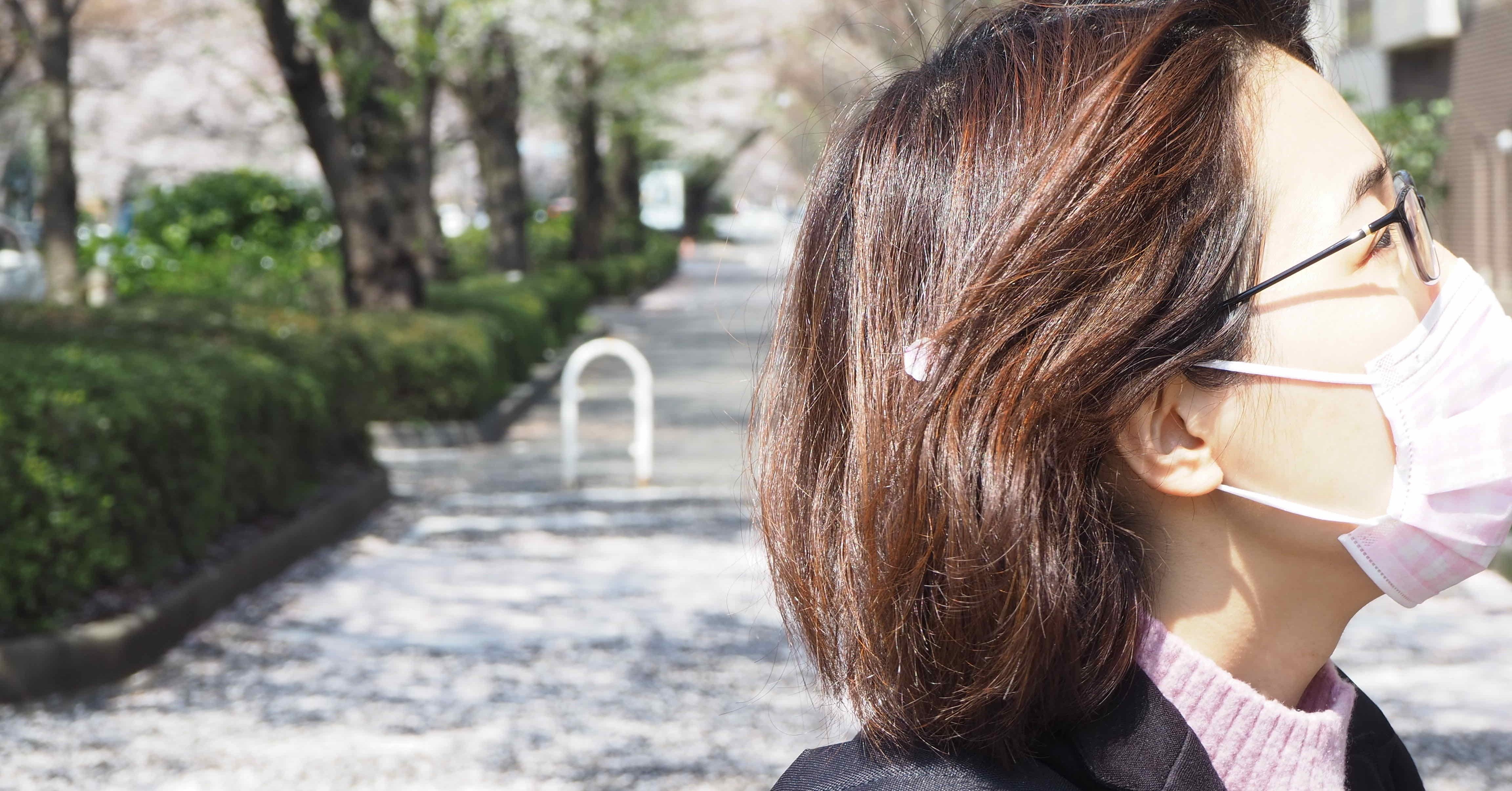 妻の髪についた桜の花びら｜パパライター note10年継続 | そのべゆういち