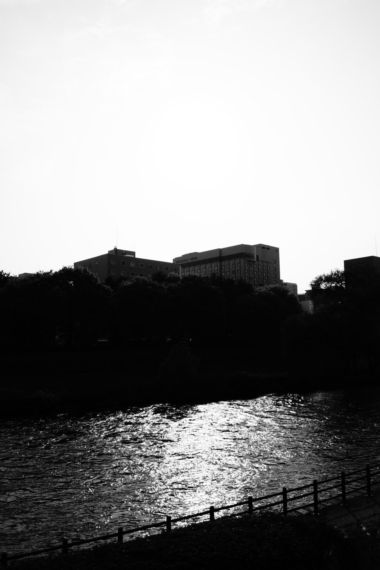 水面の反射 くいな Note