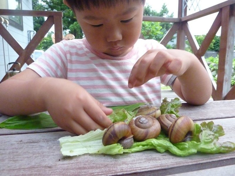 晴太郎　カタツムリ