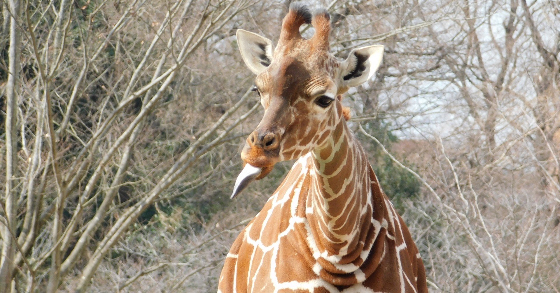 新卒研修 前編 大企業すげえ Sontack Note 新卒研修 前編 大企業すげえ Sontack Note