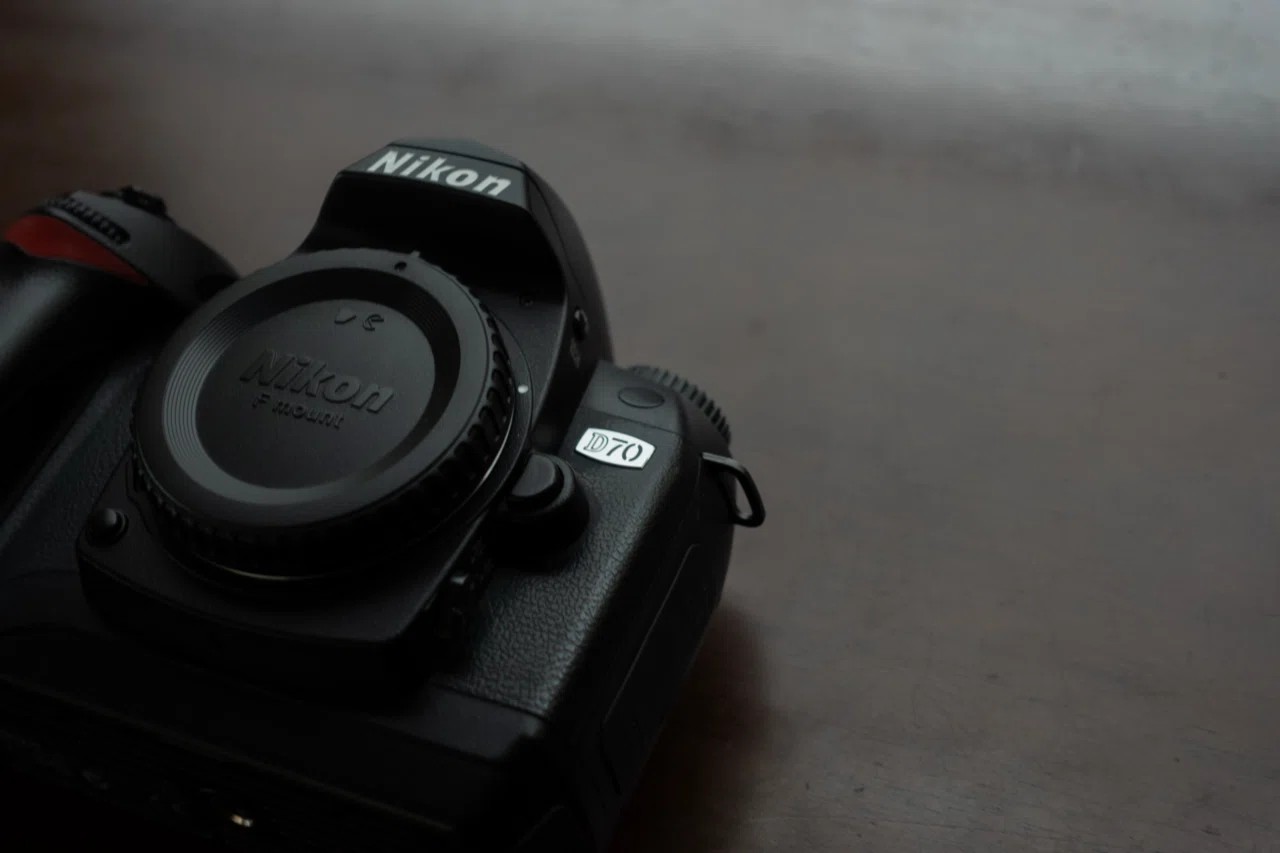 CCDの名機、Nikon D70の色が恋しい。｜偏愛カメラ部