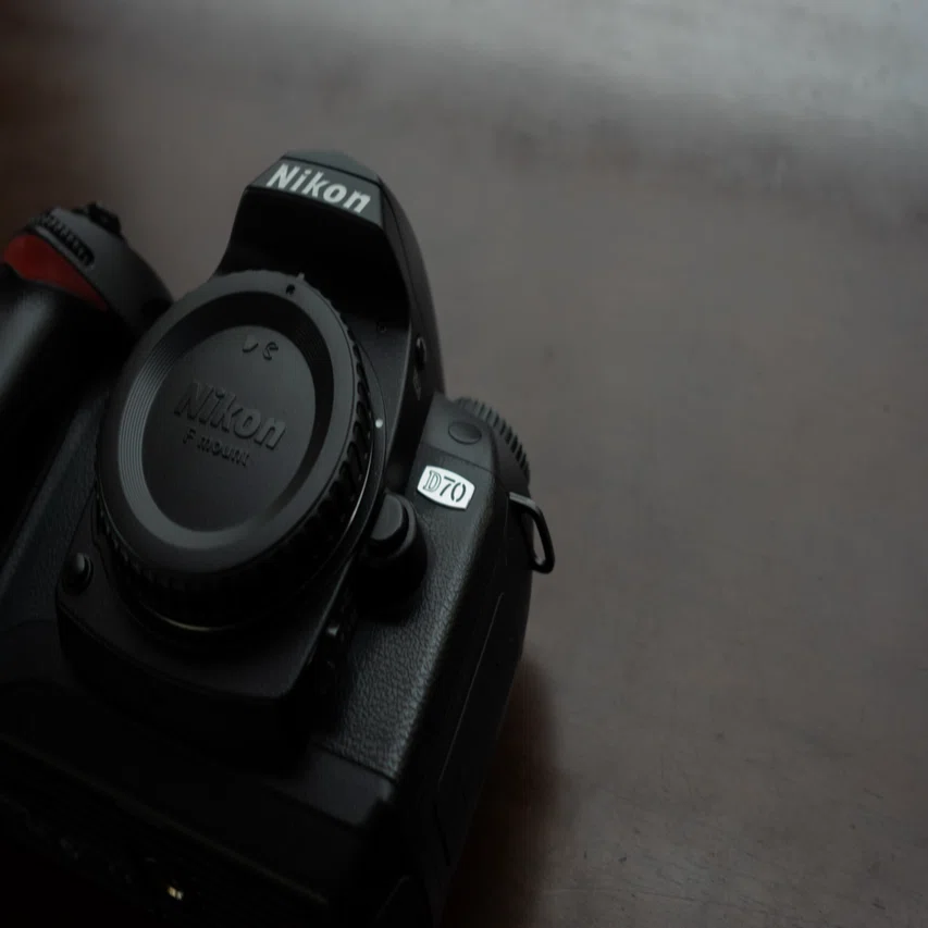 CCDの名機、Nikon D70の色が恋しい。｜偏愛カメラ部