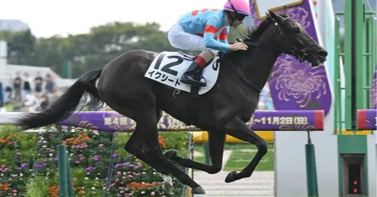 イクシード】新馬戦勝利！ イクイノックスの再来かと胸躍った日｜merci
