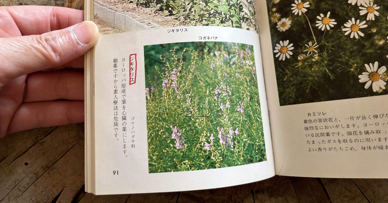 植栽家の日常】20231116 園芸家一生モノの必携本 3選｜太田敦雄