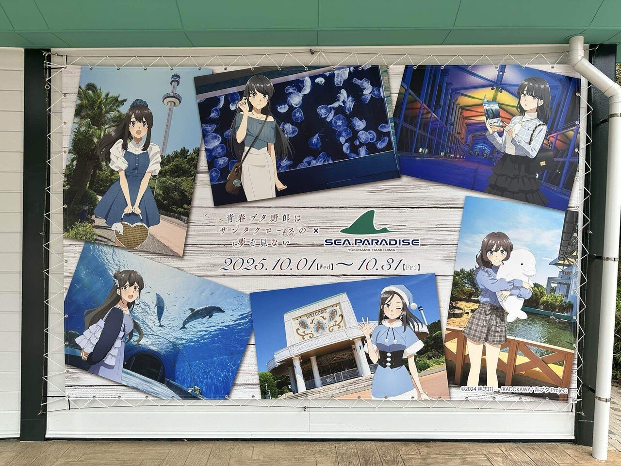 青春ブタ野郎は八景島シーパラダイスの夢を見ない【青ブタ×シーパラ