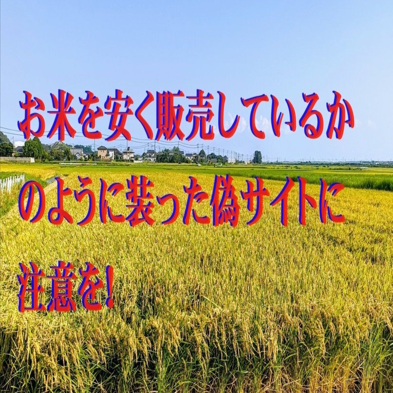 お米を安く販売しているかのように装った偽サイトに注意を！｜cyo99