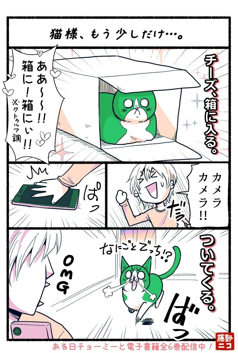 猫様_もう少しだけ_.