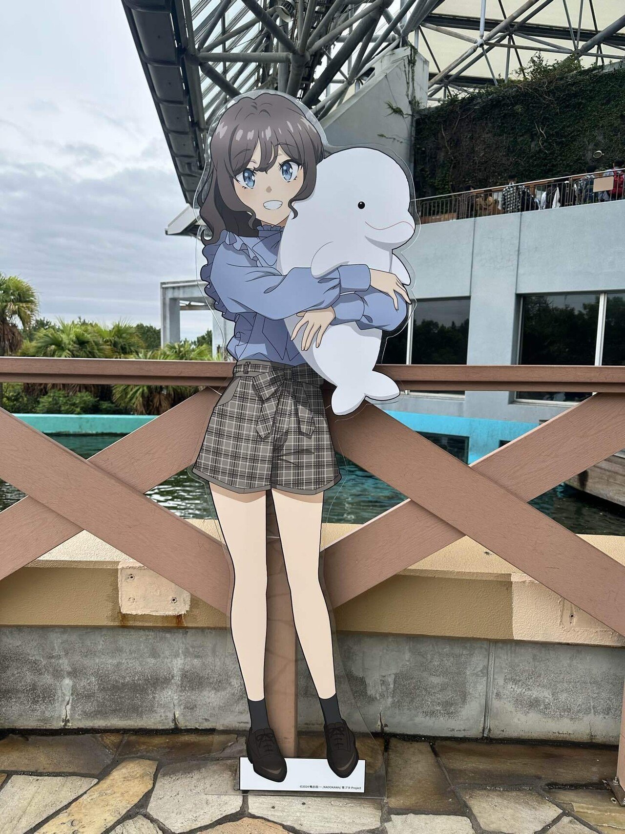 青春ブタ野郎は八景島シーパラダイスの夢を見ない【青ブタ×シーパラ