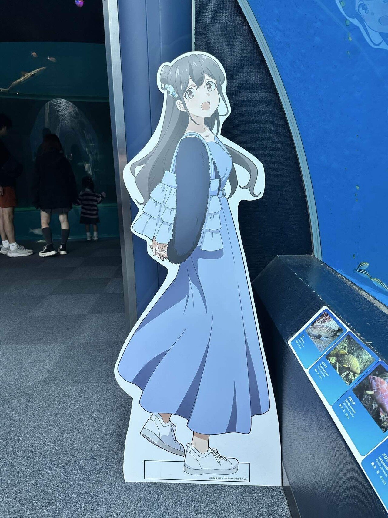 青春ブタ野郎は八景島シーパラダイスの夢を見ない【青ブタ×シーパラ