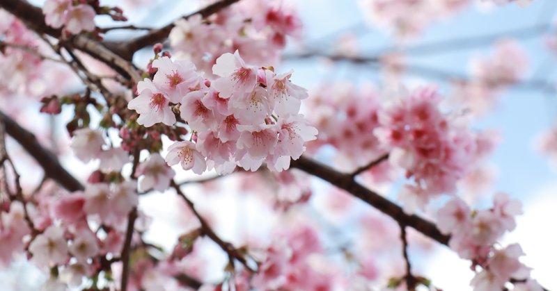 ２０２０年冬アニメ円盤売上 先行版 バルゴラ note