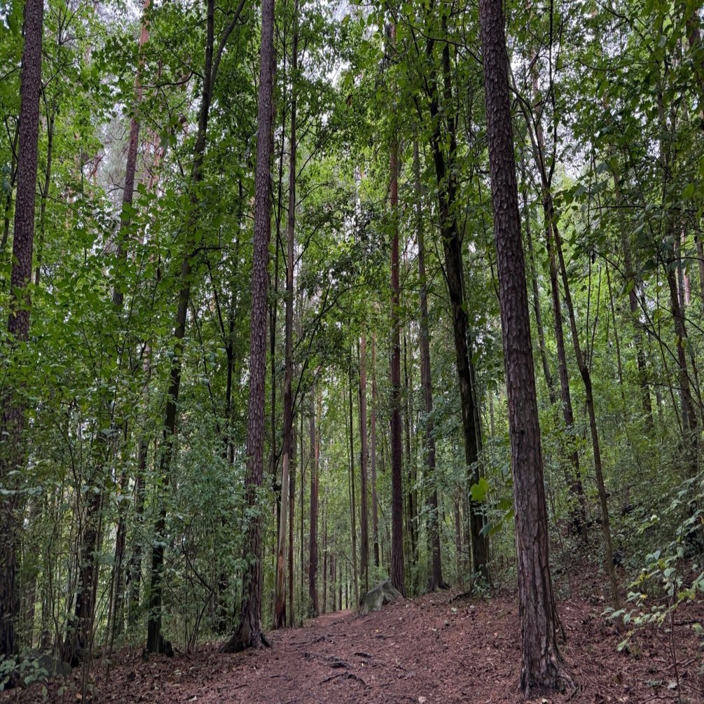ノルウェイの森｜岡本K