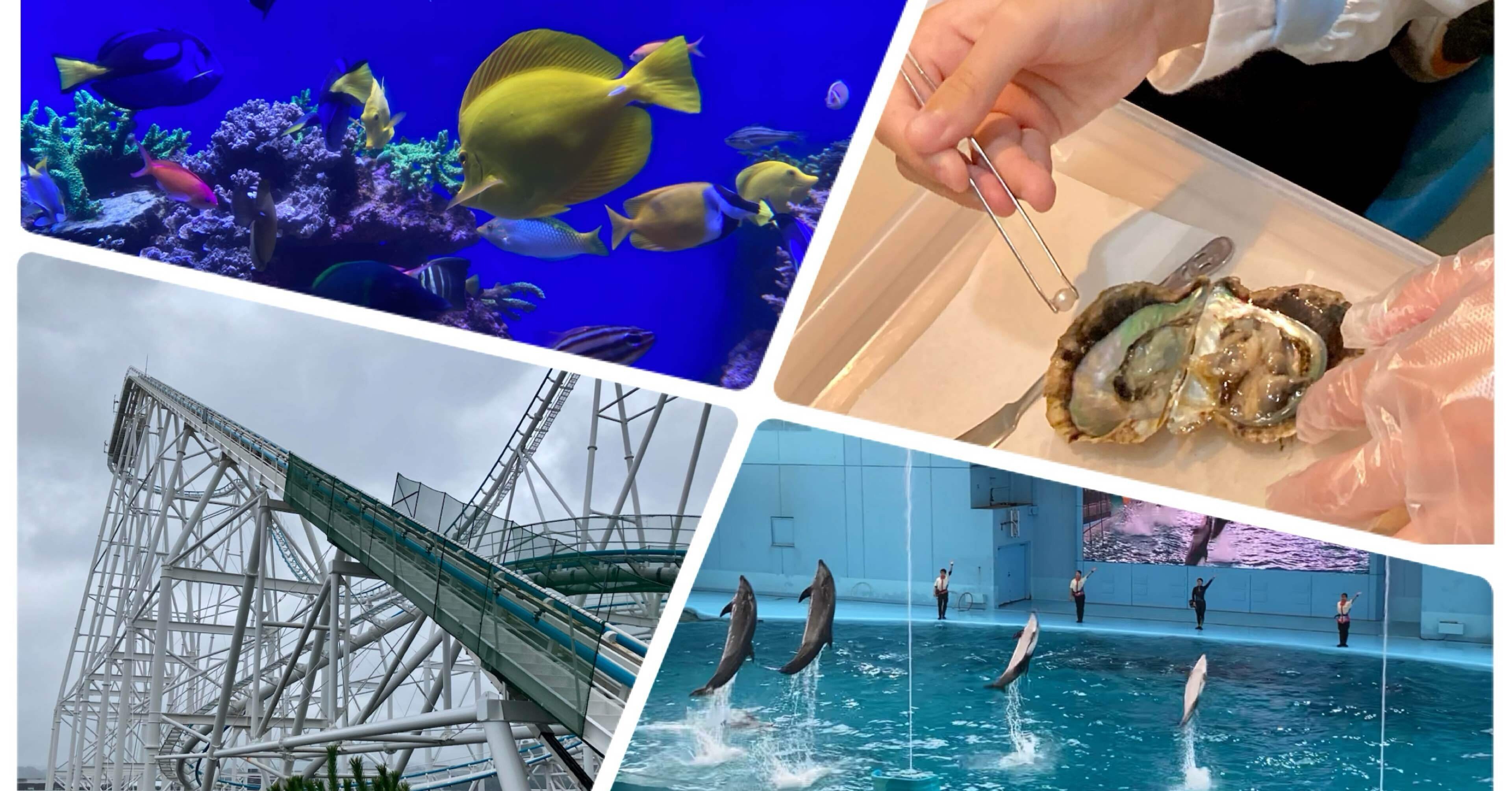 行ってよかった」雨の八景島シーパラ体験記｜おっくん