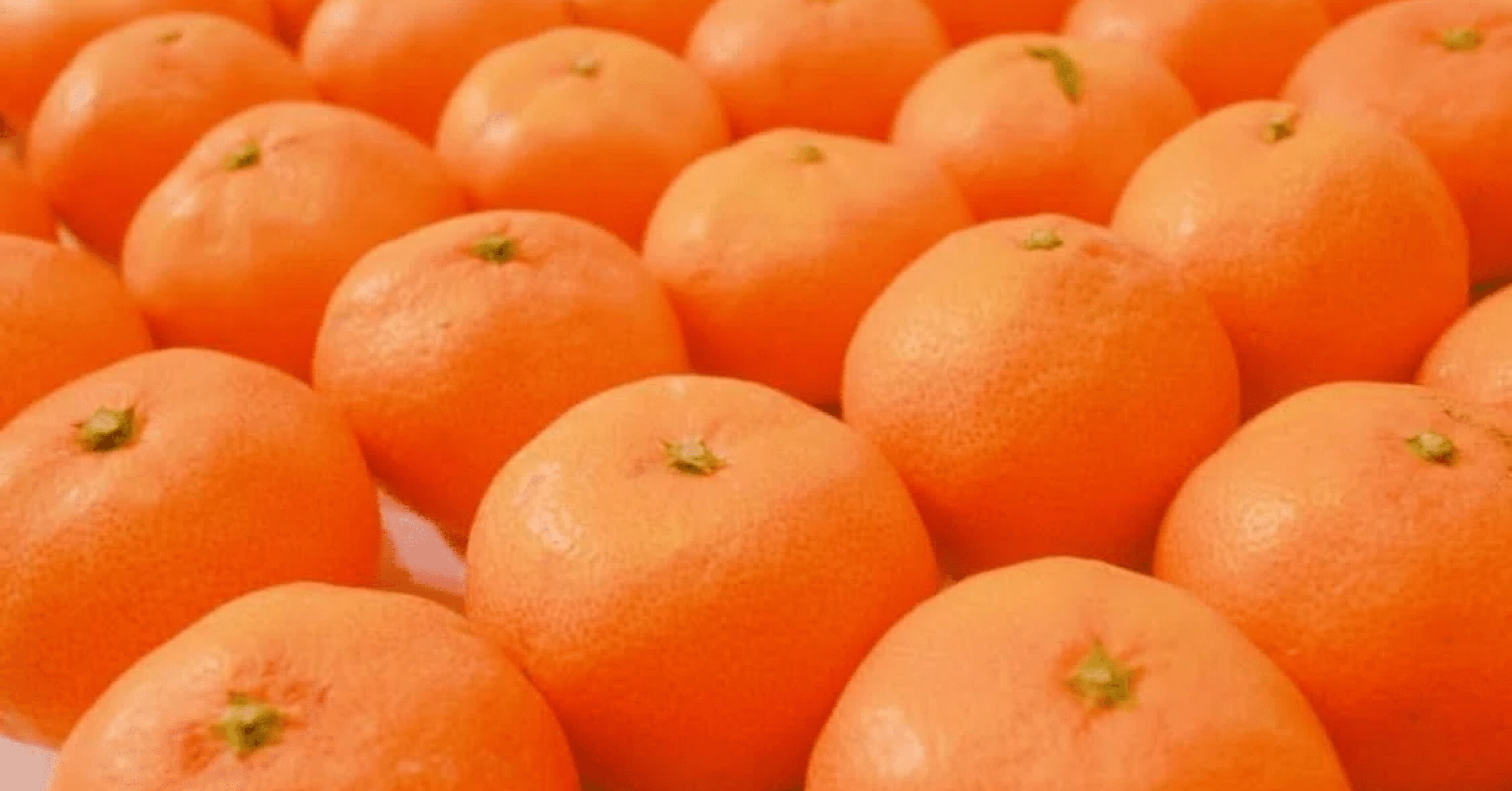 みかんのつぶやき🍊251012｜鮎川みかん🍊