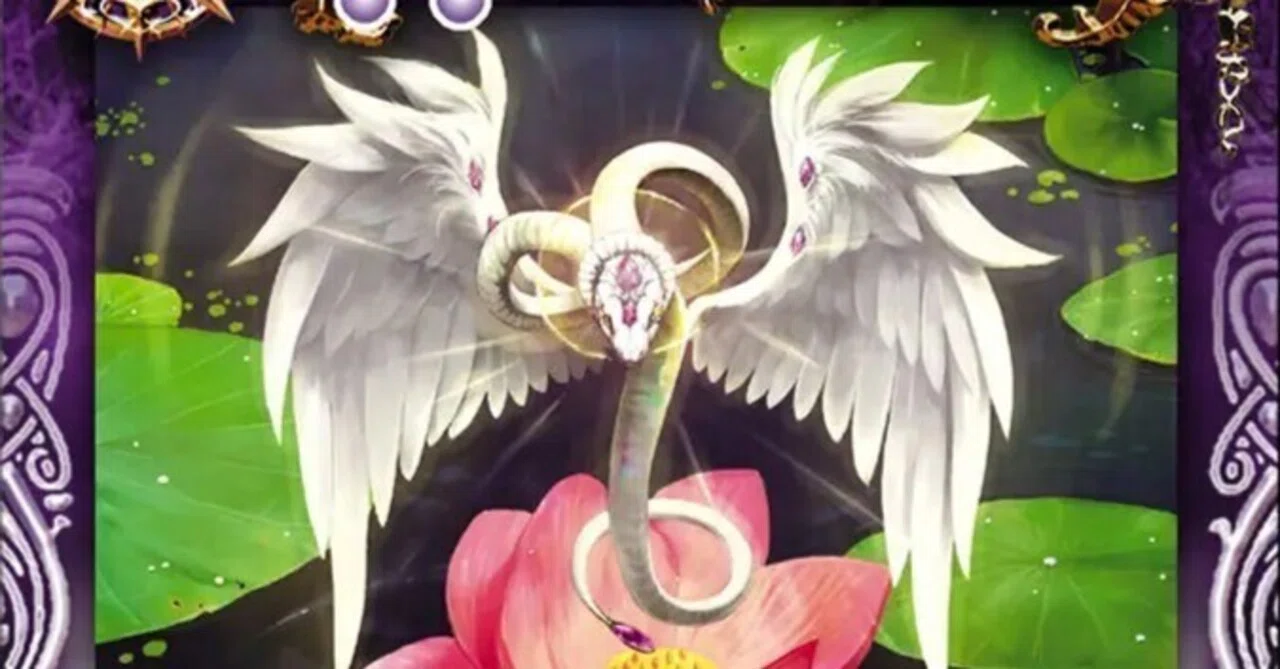未開封パック　初弾　激翔　覇闘　龍帝　皇騎　爆神　戦嵐　超星　入手困難 激翔～皇騎の思い出｜はくらく