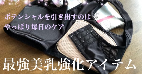 元鈴木さんコルセット　ENCHANTEDCOLSET シルフィード L 楽天市場】【ふるさと納税】新色登場 ！ 日本製 コルセット