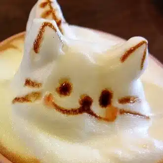 葦原メシオ