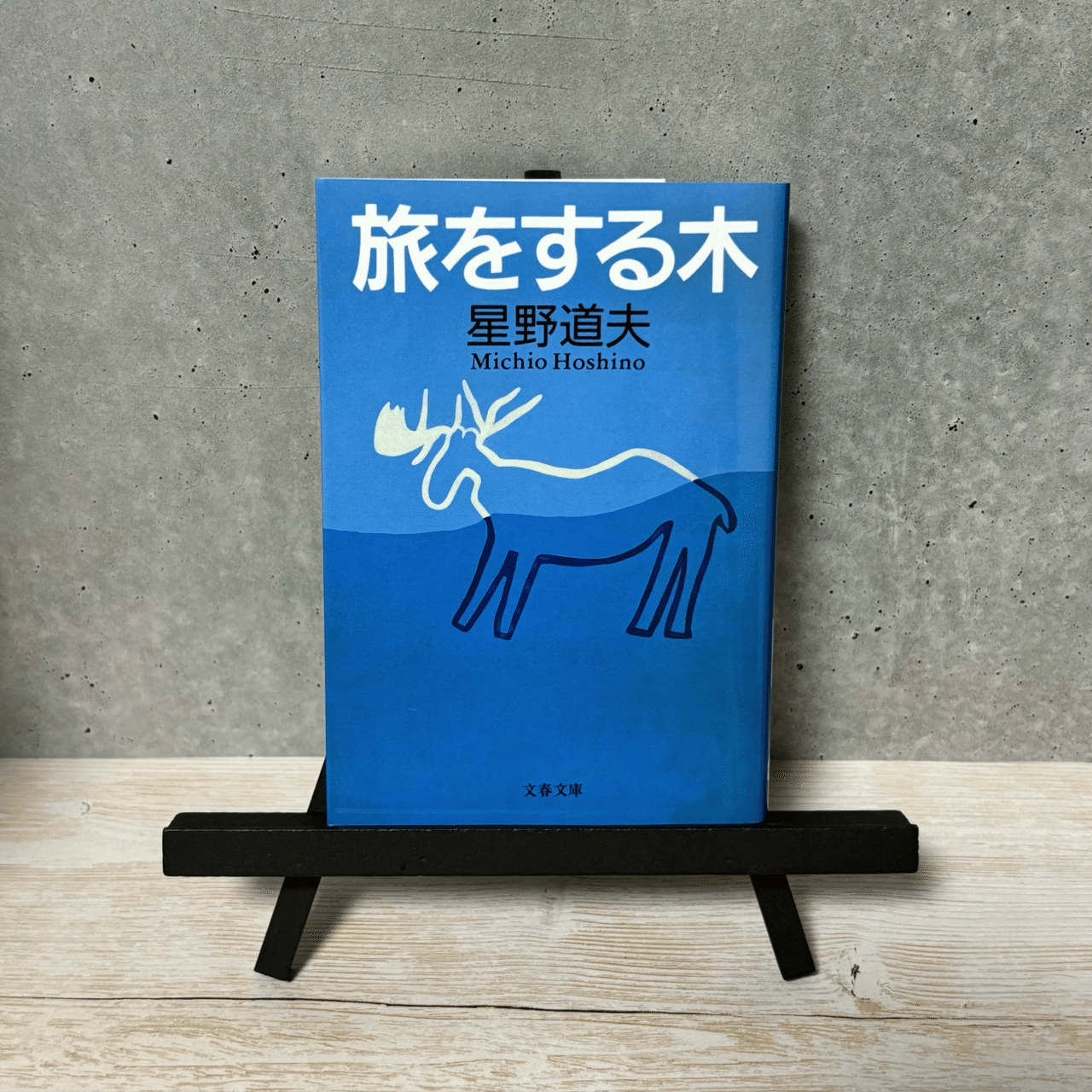 心が壮大な旅をする読書時間「旅をする木」星野道夫｜いろ