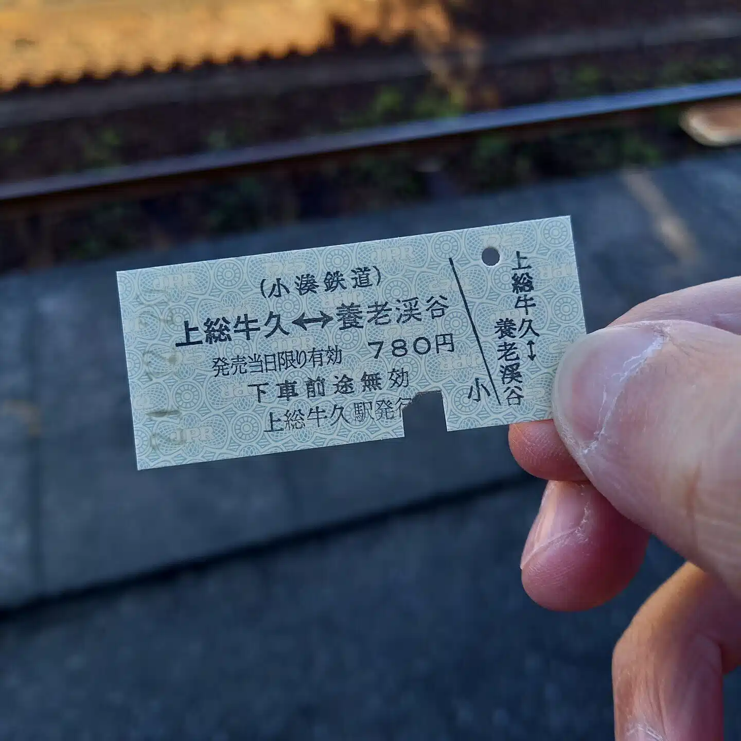 未田 倅　(まだ・せがれ)
