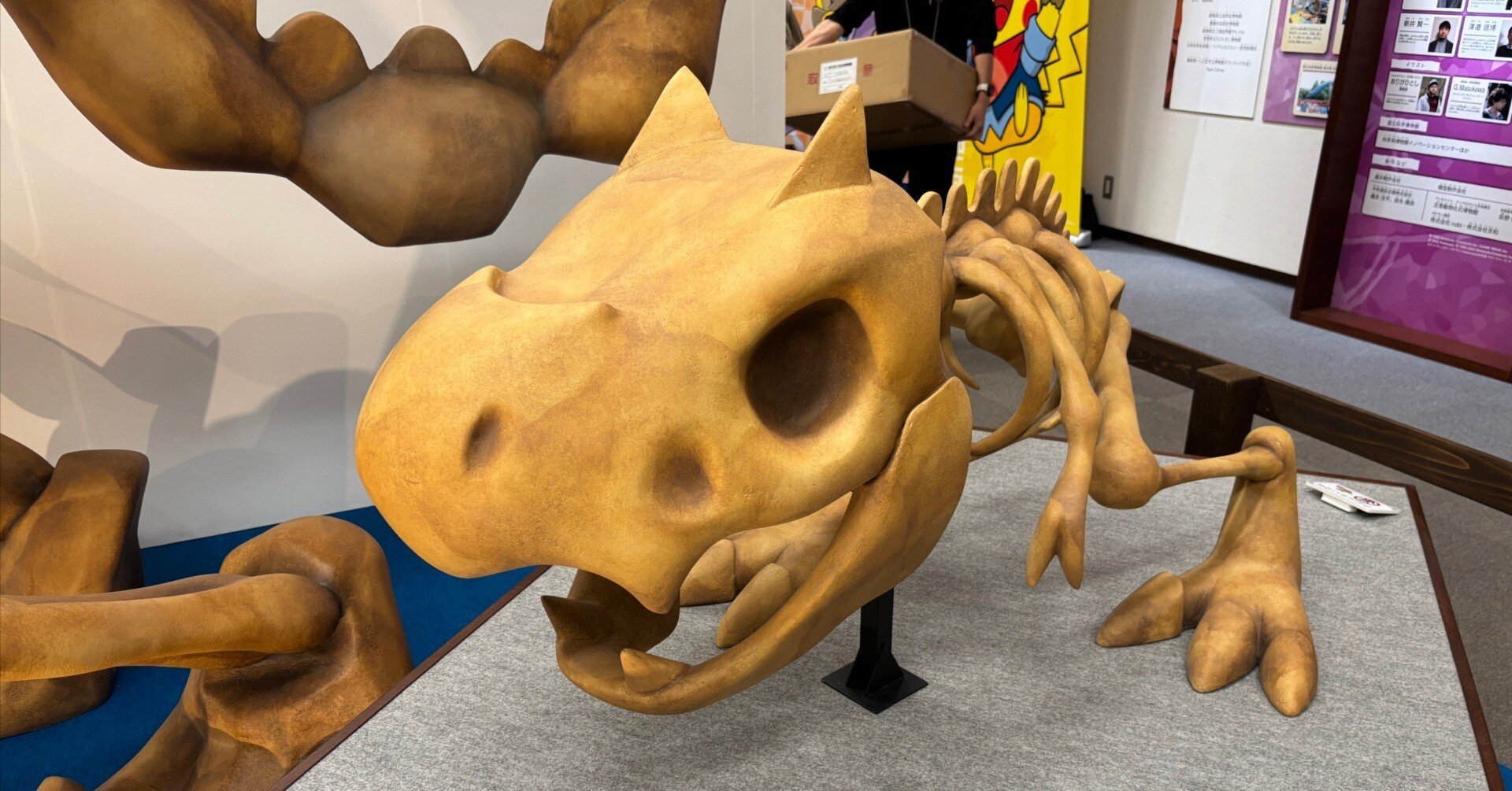 4個セット ポケモン化石博物館 徳島県立博物館 限定 発掘ピカチュウ