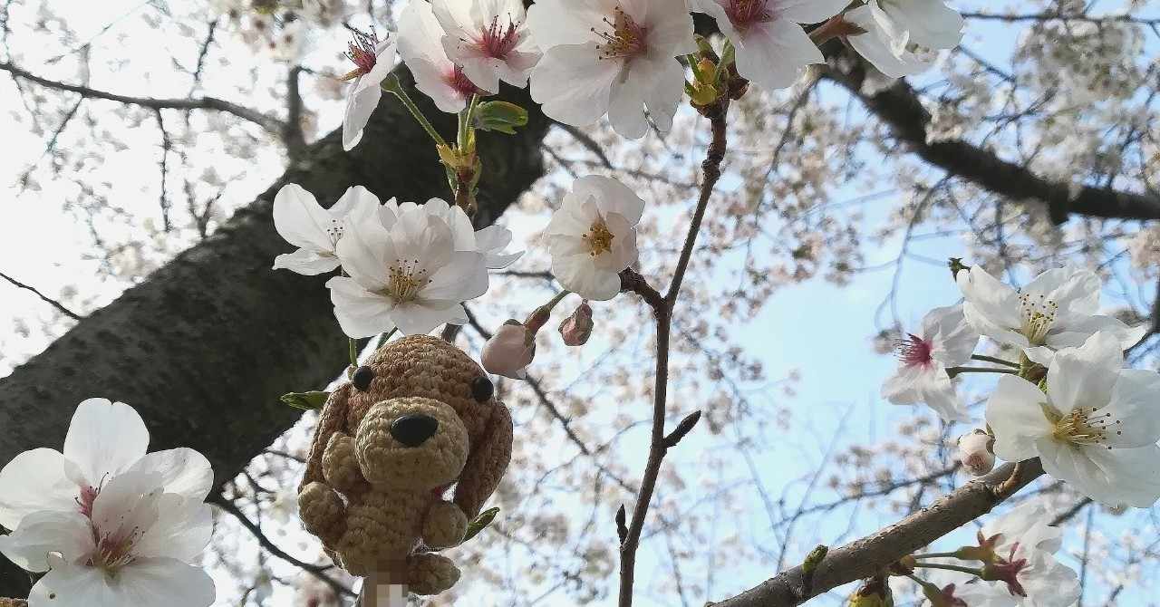 天まで届けこの想い の新着タグ記事一覧 Note つくる つながる とどける