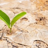 アメリカの部活動を経験して思ったこと 松井博 Note