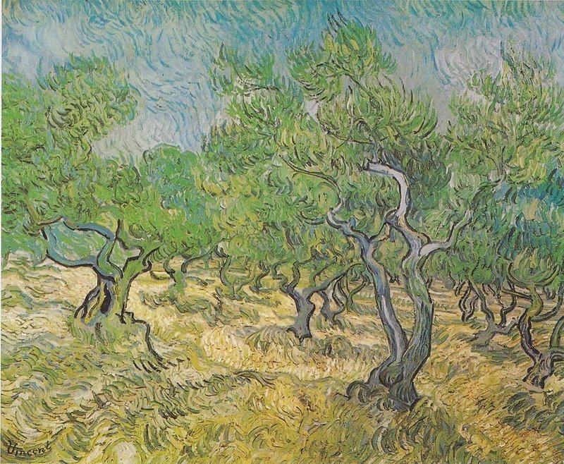 1889『オリーブ畑』876px-Van_Gogh_-_Olivenhain1