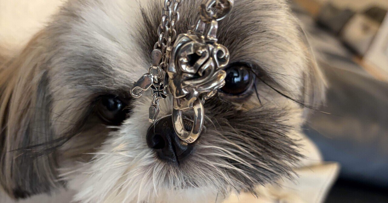 2020 エリザベス2世 クイーンズビースト モーティマーの白い