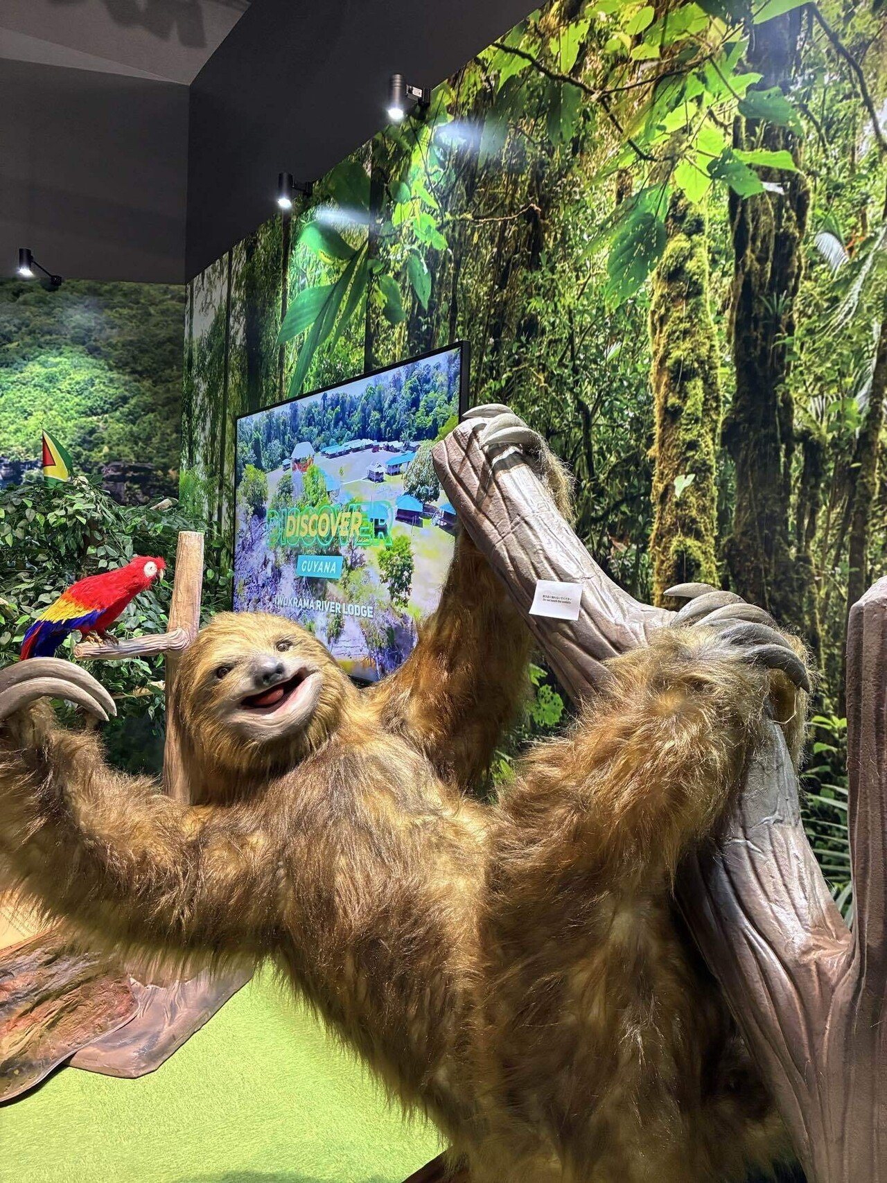 ガイアナ』大阪関西万博2025 フォトアルバム｜ふじこはん