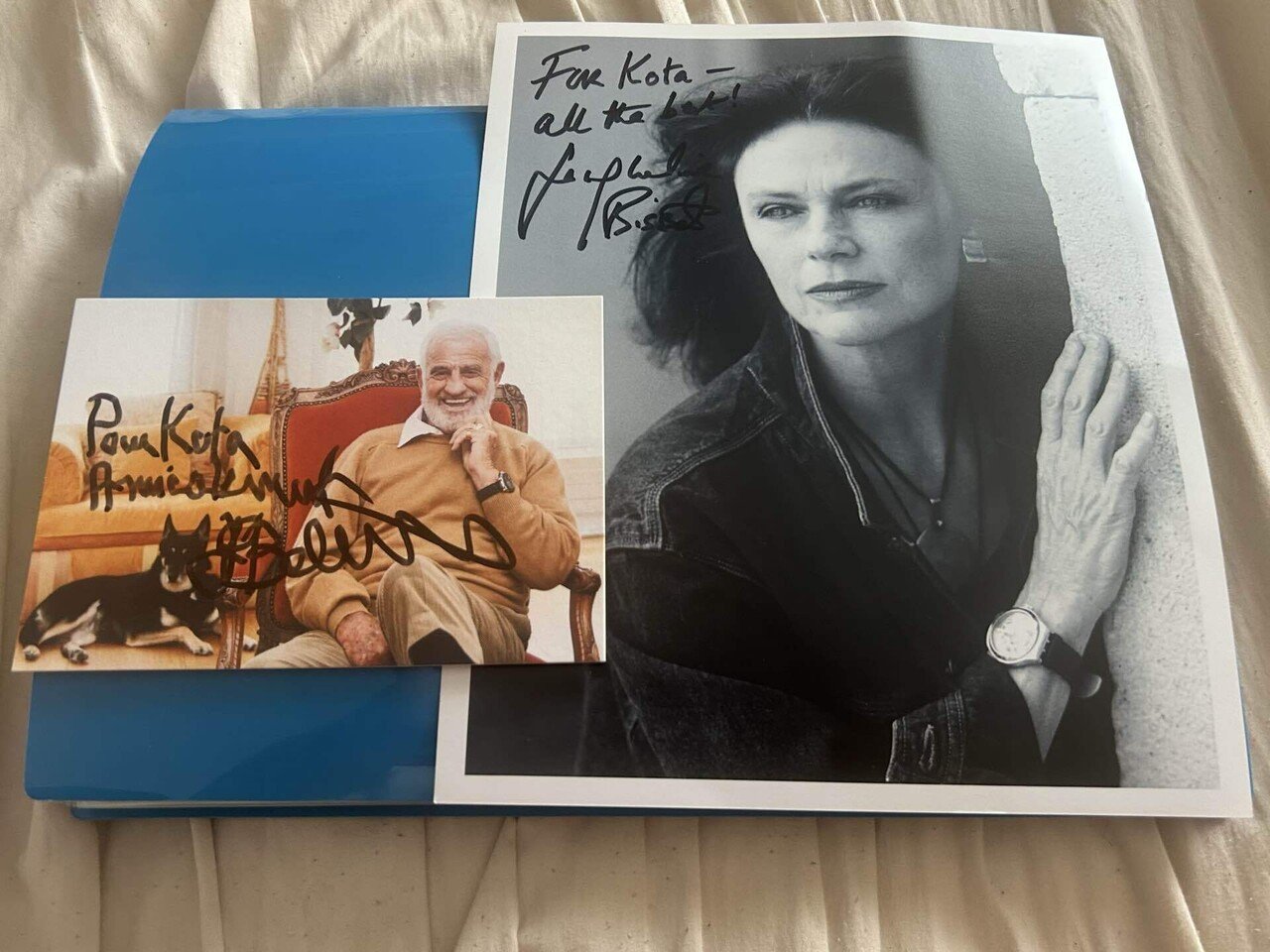 4ヶ月ぶりにファンレターの返事が届きました！！｜ブロンディ