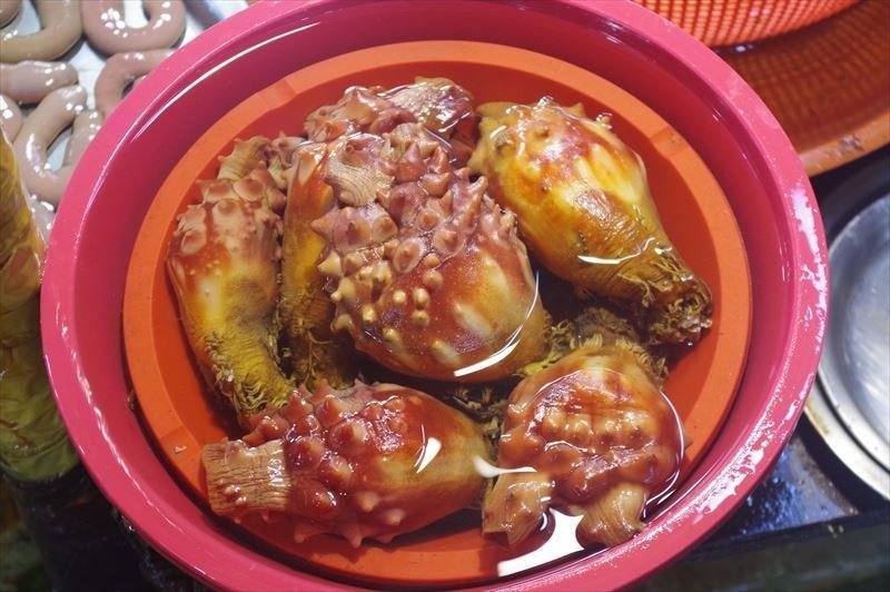 韓国で ホヤみたい って言うとバカにする意味になる 脳のないホヤとアートの話 みじんことオーマ Note 韓国で ホヤみたい って言うとバカにする意味になる 脳のないホヤとアートの話 みじんことオーマ Note