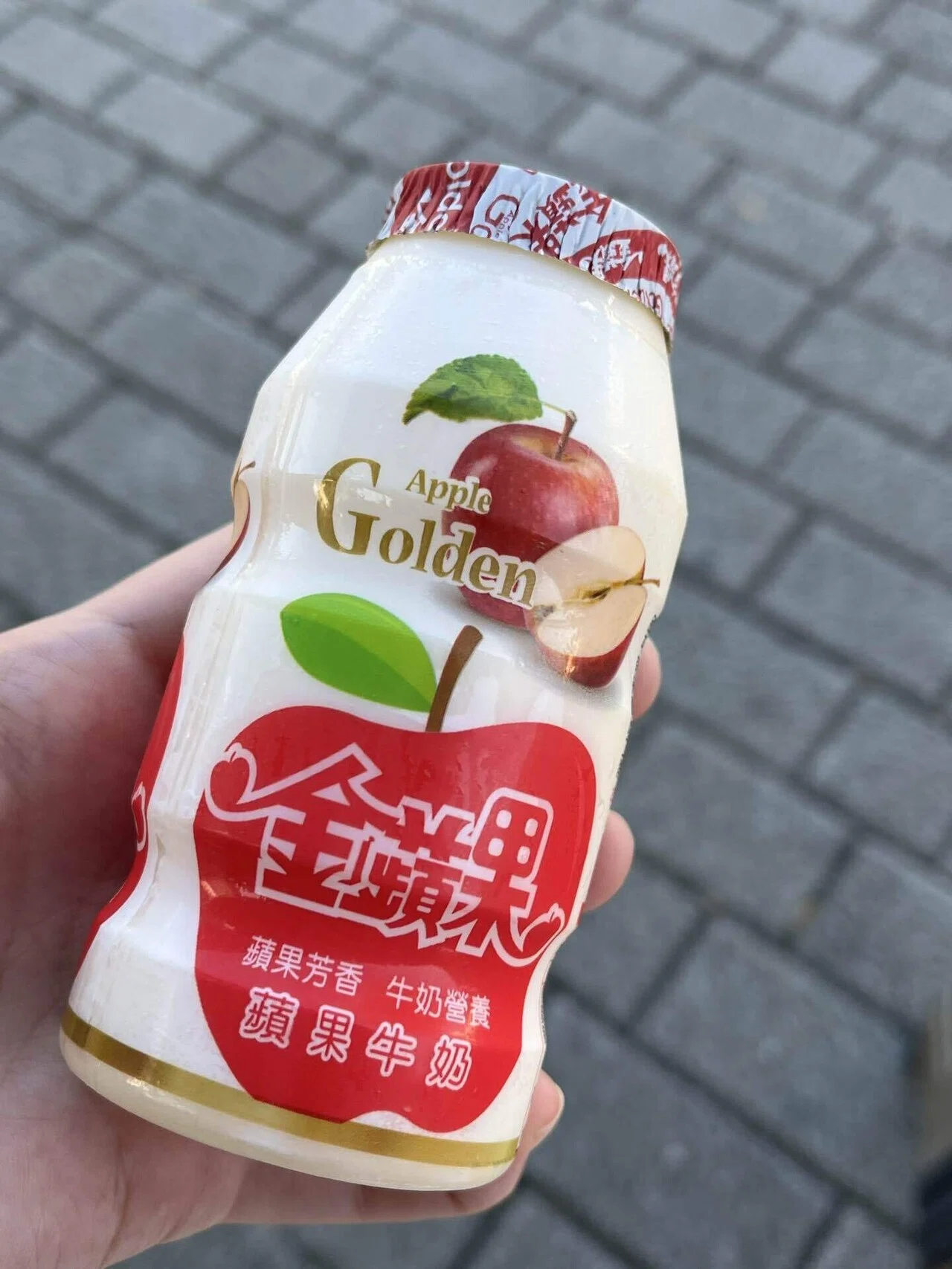 台湾鳥見旅行4日目…旅の目的、阿里山へ｜ぱち屋の裏で