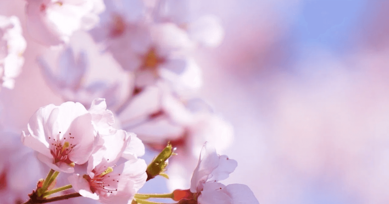 Docker Composeで始めるMySQL環境構築 - phpMyAdmin付きで5分で完成|QL | エンジニア