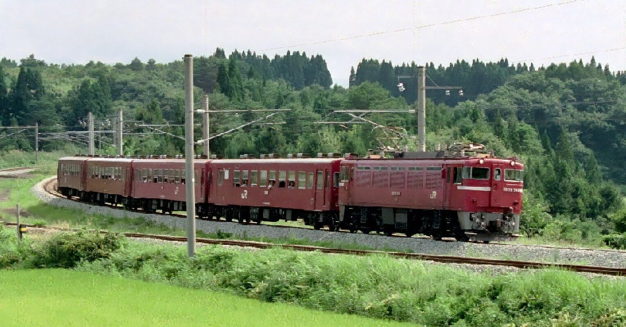 わらび苗(紀伊山地)1000本 お堀端を走る単線並列線 | 鉄道旅のガイド